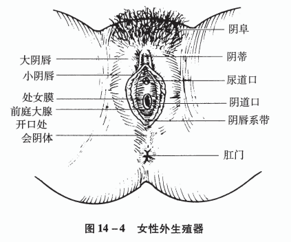图片9.png