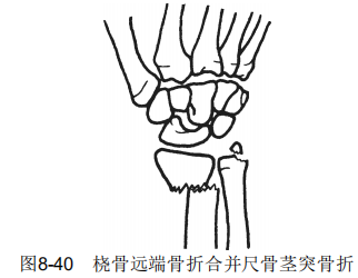 8-40.png